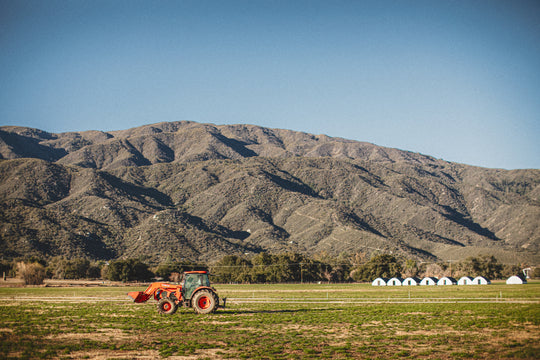 Pasturebird is Certified Glyphosate Free - What this Means and Why it Matters