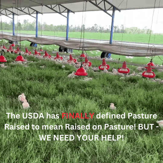 pasture raised defined by USDA