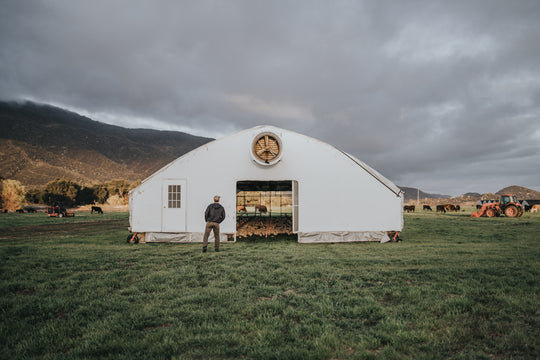 Where to Visit a Pasture Raised Chicken Farm Near Me